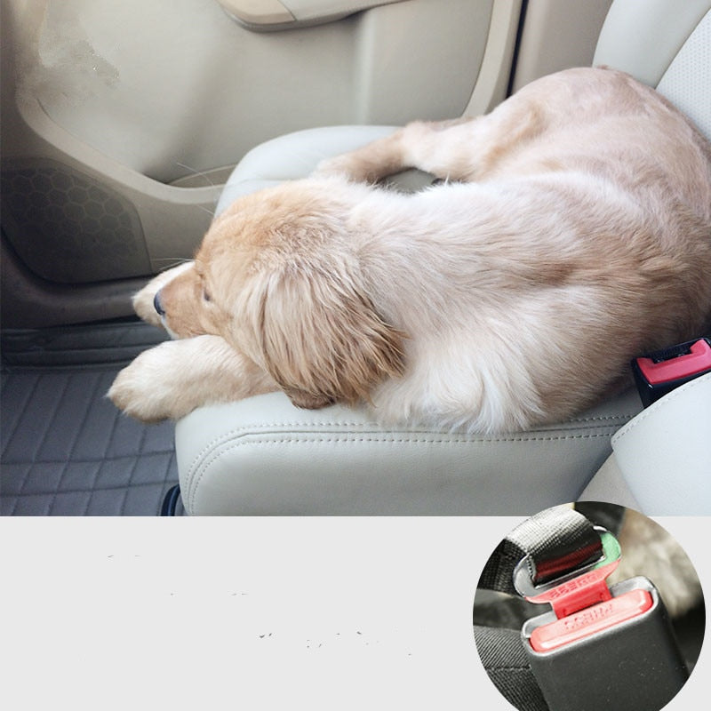 3-Pack Pet Seat Belt™