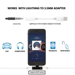 Dual iPhone Charge and Audio Adaptor