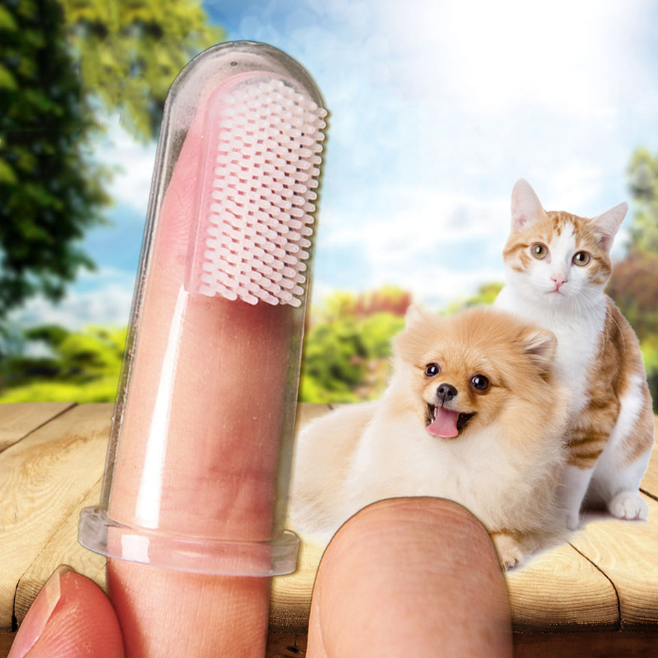 Organic Pet Finger Toothbrush - Instashop Life