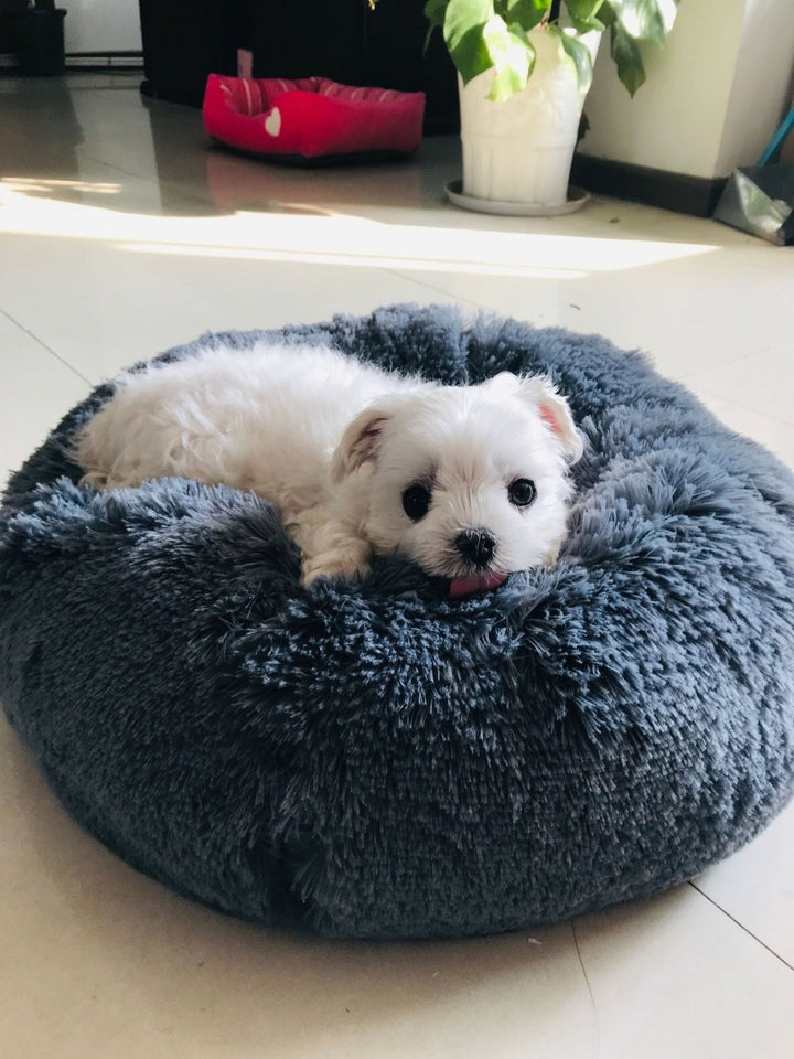 Super Soft Pet Bed Kennel - Instashop Life