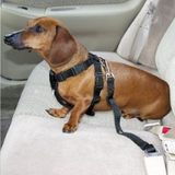 3-Pack Pet Seat Belt™