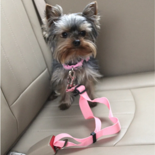 3-Pack Pet Seat Belt™